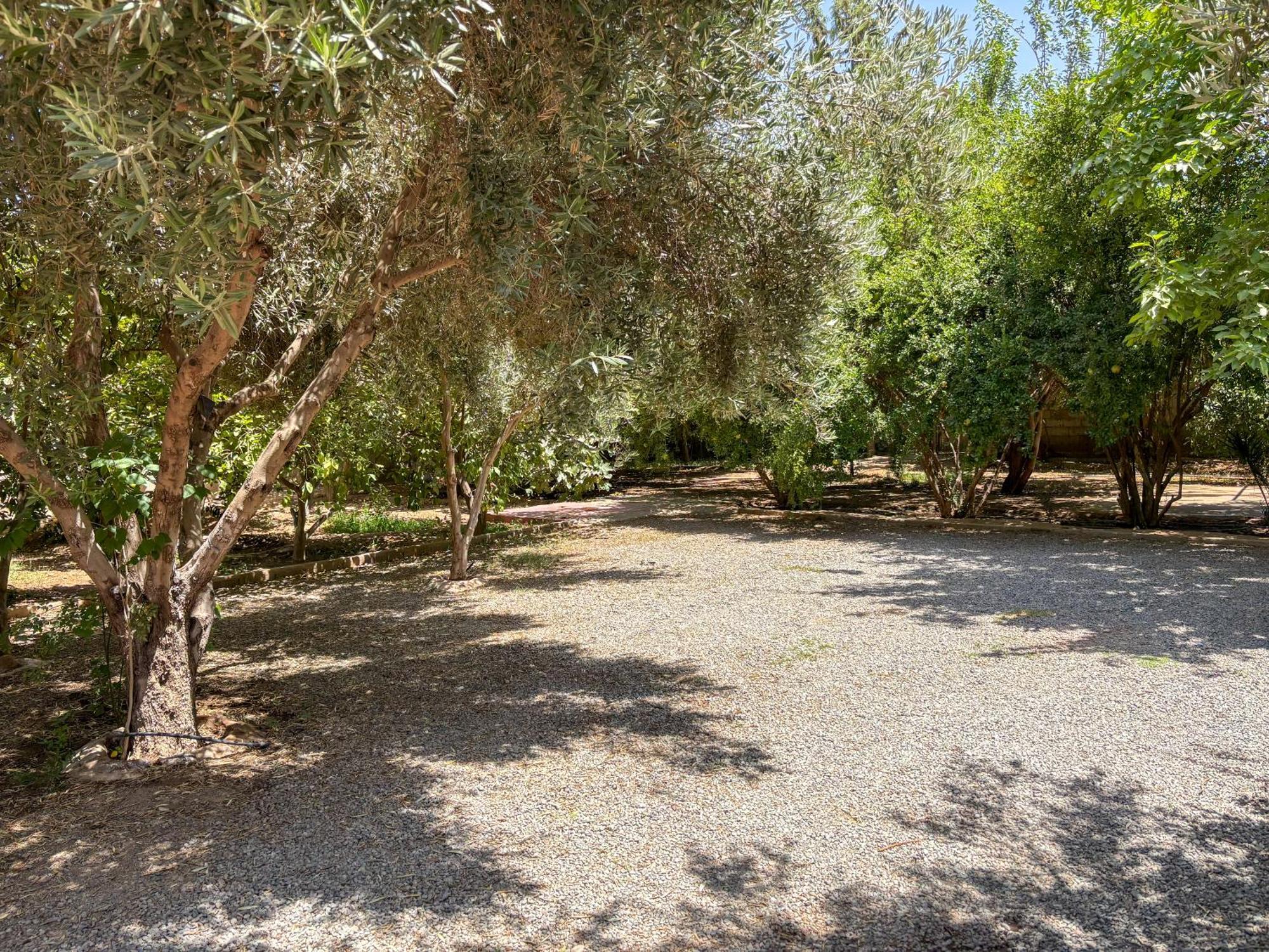 Bed and Breakfast Le Bleu House Sidi Abdallah Ghiat Exterior foto
