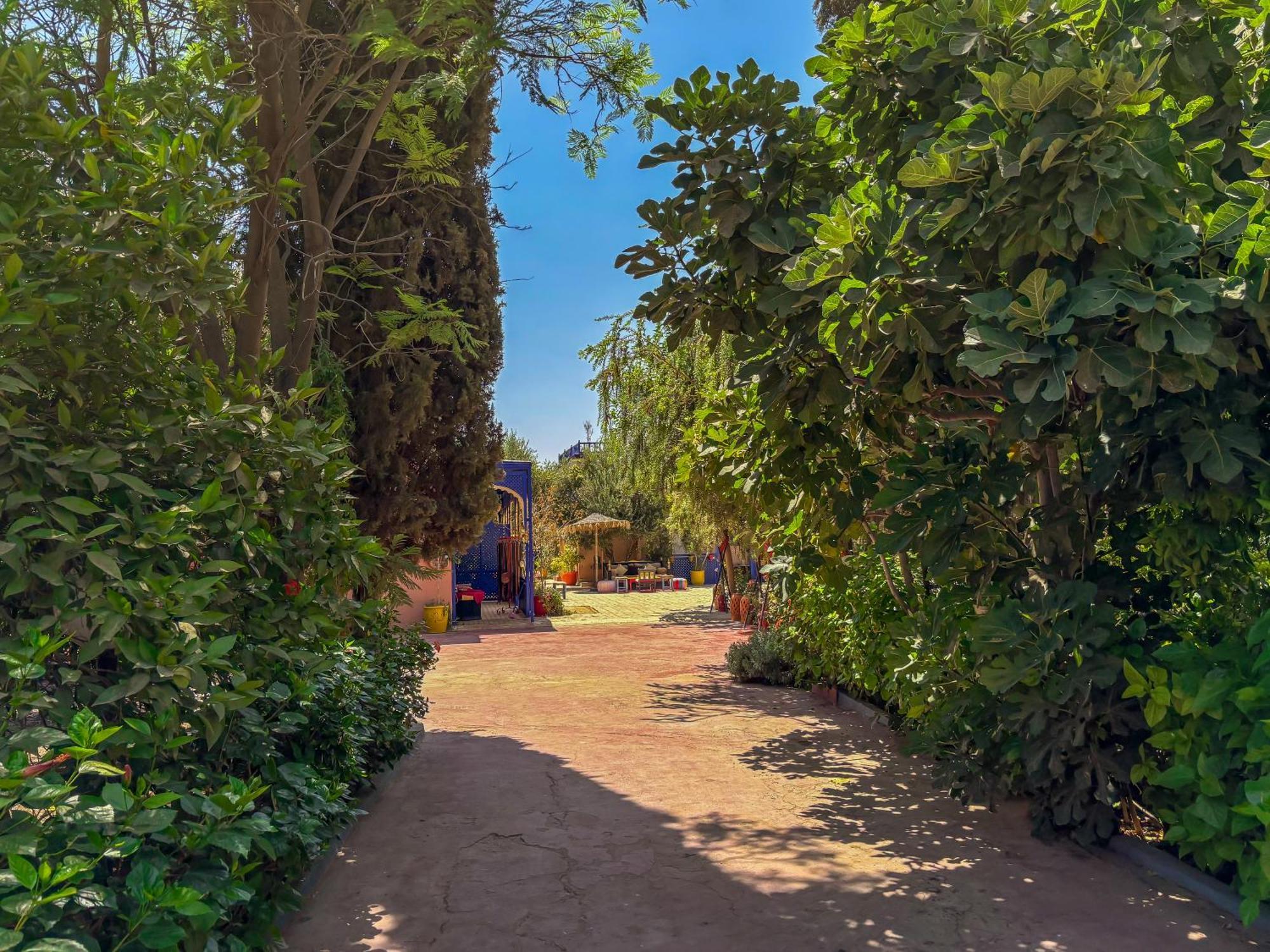 Bed and Breakfast Le Bleu House Sidi Abdallah Ghiat Exterior foto